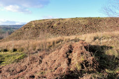 Swffryd Colliery tip, January 2011